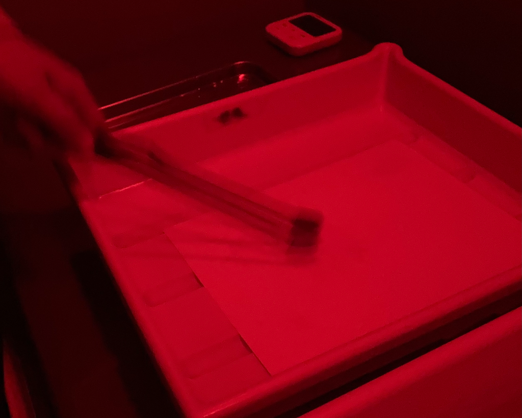 <?php the_title_attribute();?>